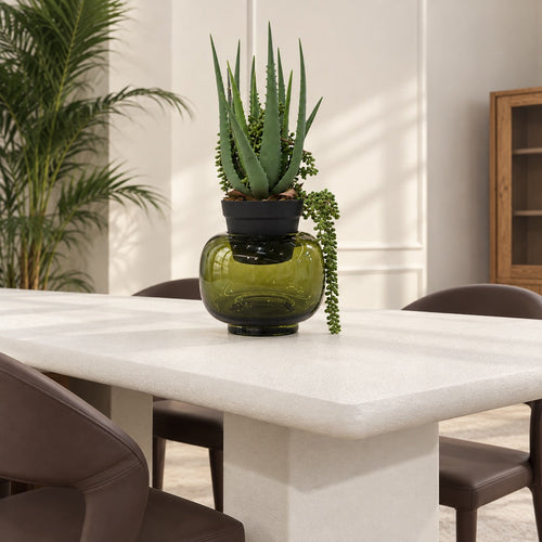Aloe — Glass Planter