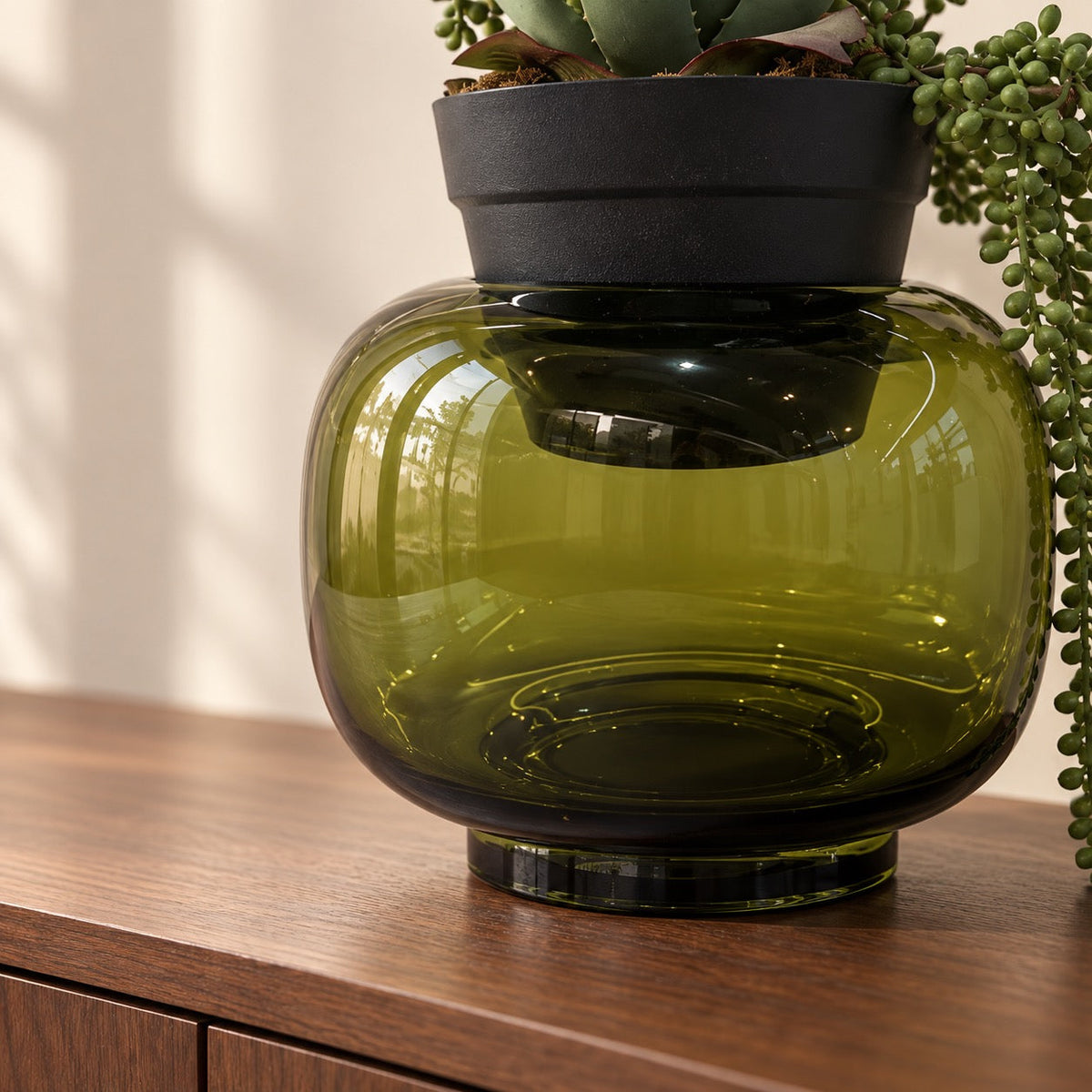 Aloe — Glass Planter